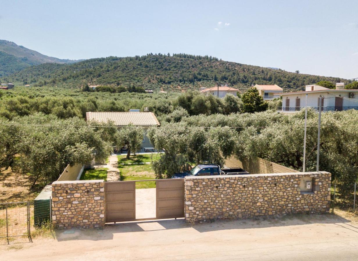 Villa 4 you iliopetra Skala Sotiros Esterno foto